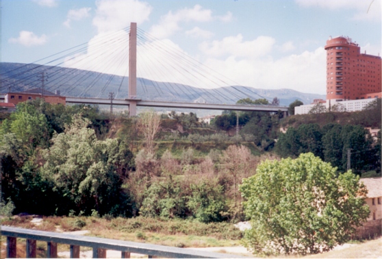 Puente Fernando Reig